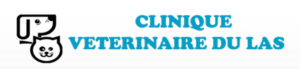 Clinique Vétérinaire Toulon Clinique Vétérinaire du Las
