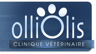 logo olliolis