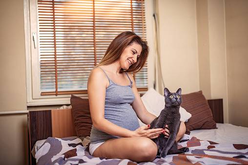 femme einceinte toxoplasmose chat