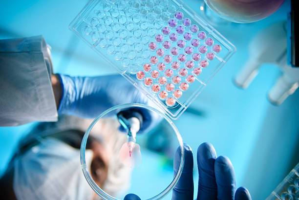 Quelles sont les particularités de l'antibiogramme vétérinaire réalisé par le laboratoire VETANALYS à AVIGNON 84